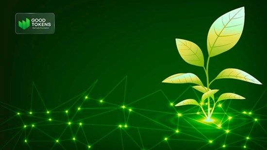 Good Tokens Broadens Adoption of Blockchain-Based Solutions for Global Good